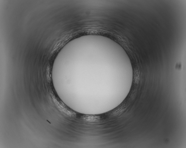 X0000115650670200911101541