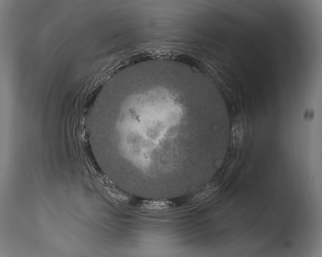 X0000115650671200911101541