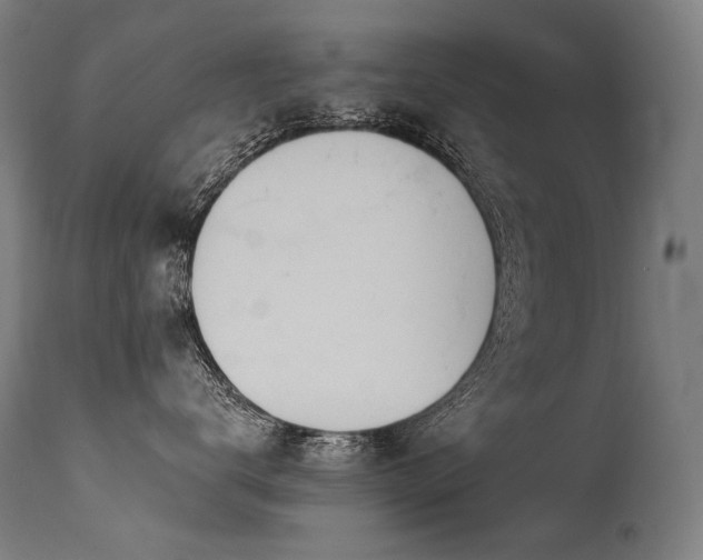 X0000115650672200911101541