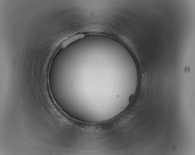 X0000115650673200911101540