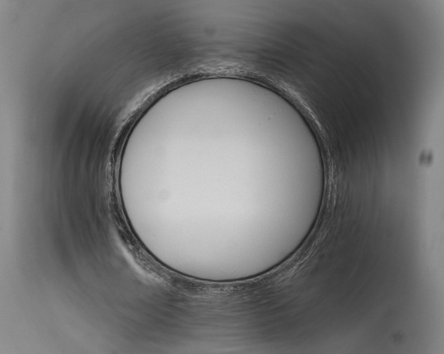X0000115650674200911101540