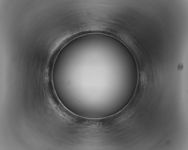 X0000115650676200911101540