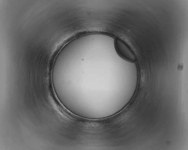 X0000115650677200911101540