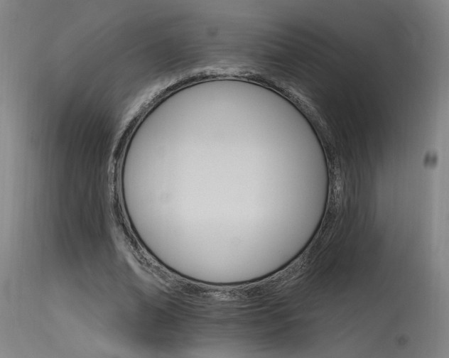 X0000115650678200911101540