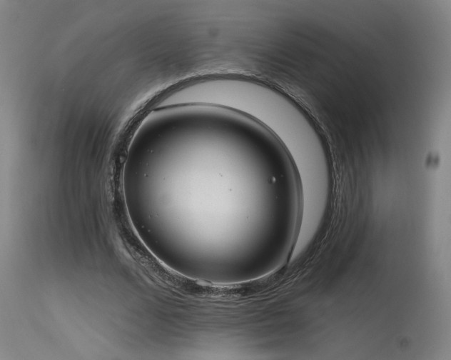 X0000115650680200911101540