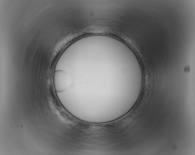 X0000115650682200911101540