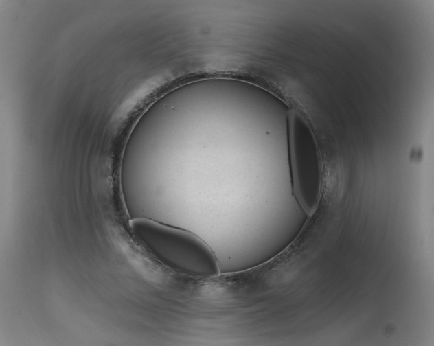 X0000115650684200911101540