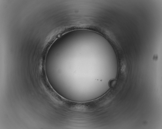 X0000115650685200911101540
