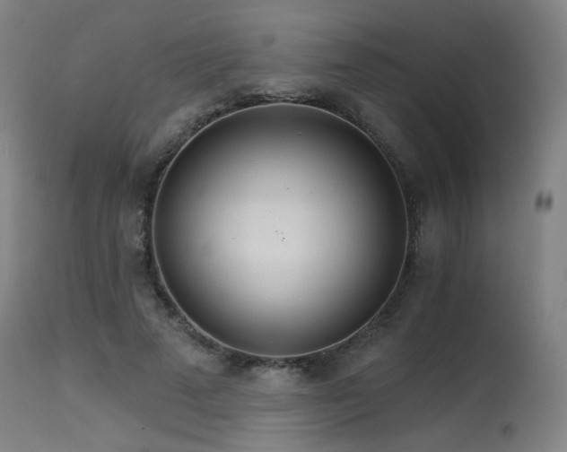 X0000115650689200911101540