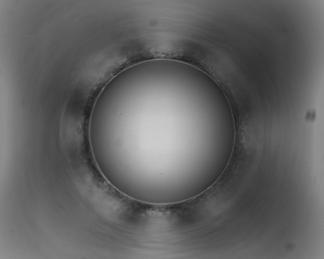 X0000115650690200911101540