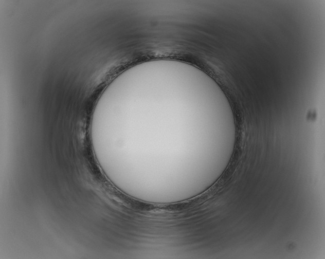 X0000115650691200911101540