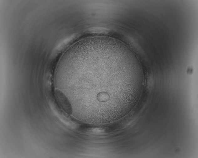 X0000115650692200911101540