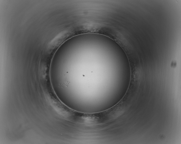 X0000115650693200911101540