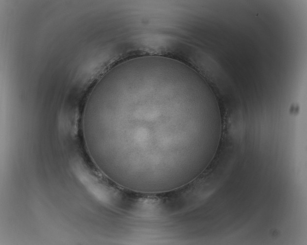 X0000115650694200911101540