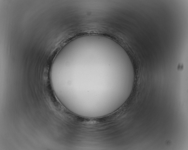 X0000115650695200911101540