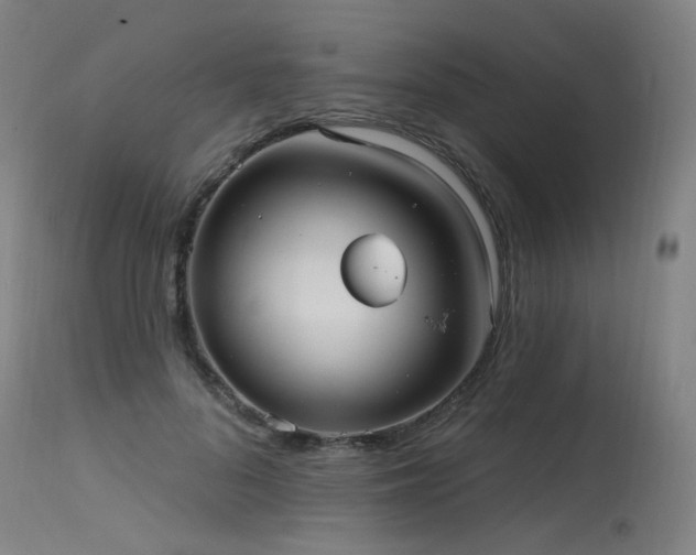 X0000115650696200911101540