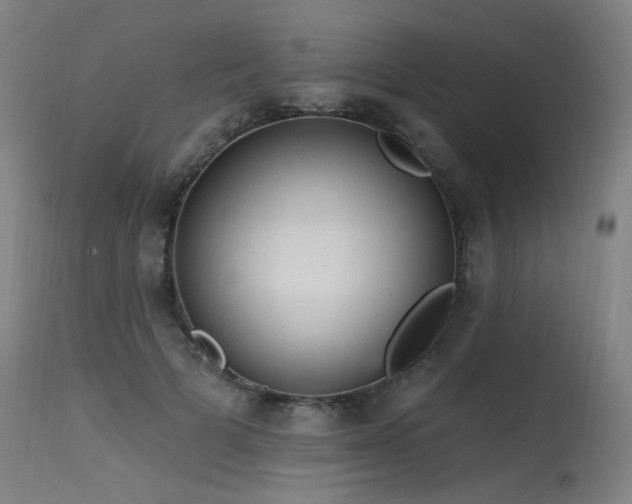 X0000115650697200911101540