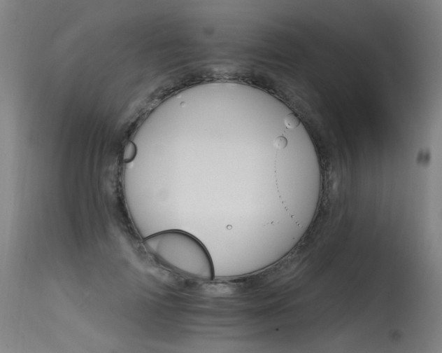X0000115650698200911101540