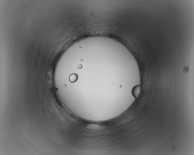 X0000115650699200911101540
