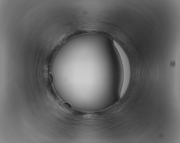 X0000115650700200911101540