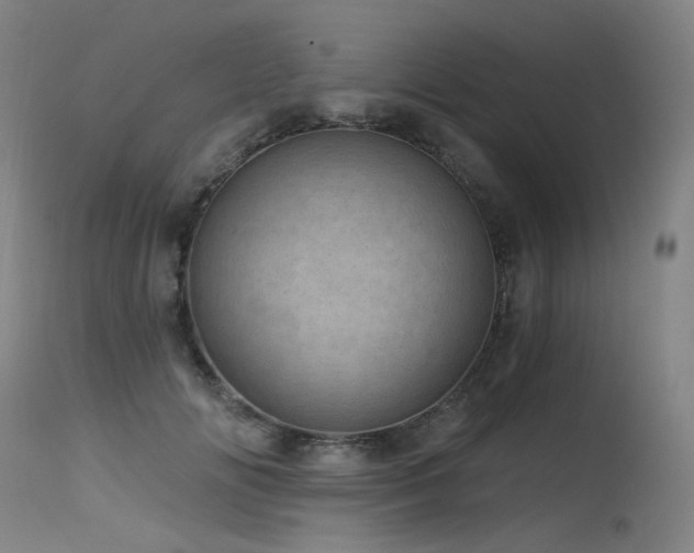 X0000115650702200911101540