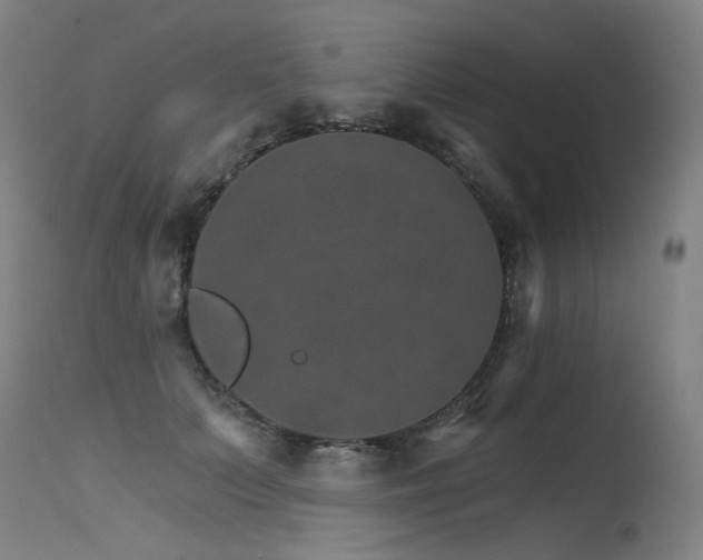 X0000115650703200911101540