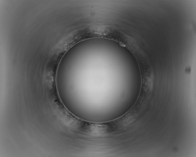 X0000115650707200911101540
