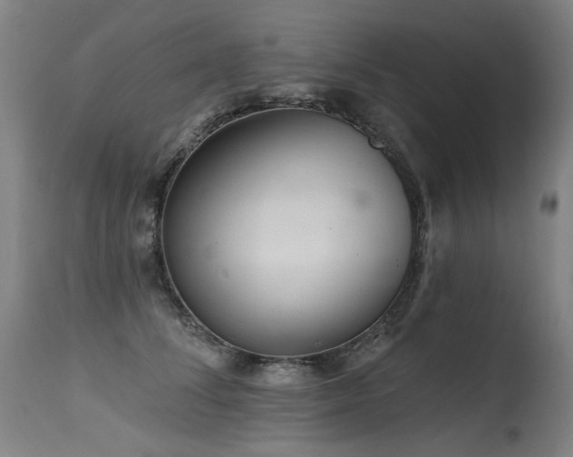 X0000115650708200911101540