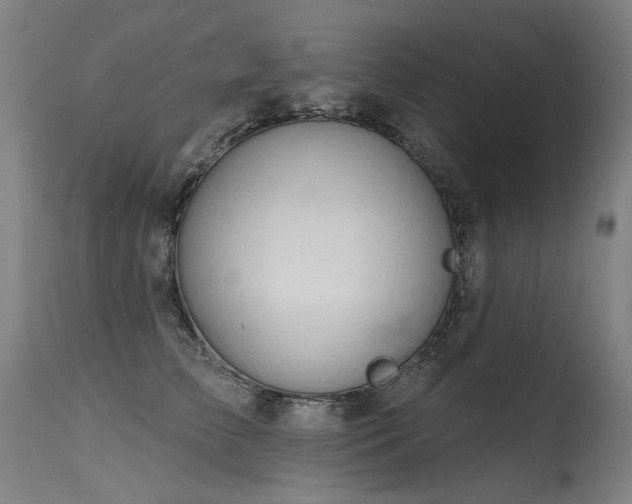 X0000115650709200911101540