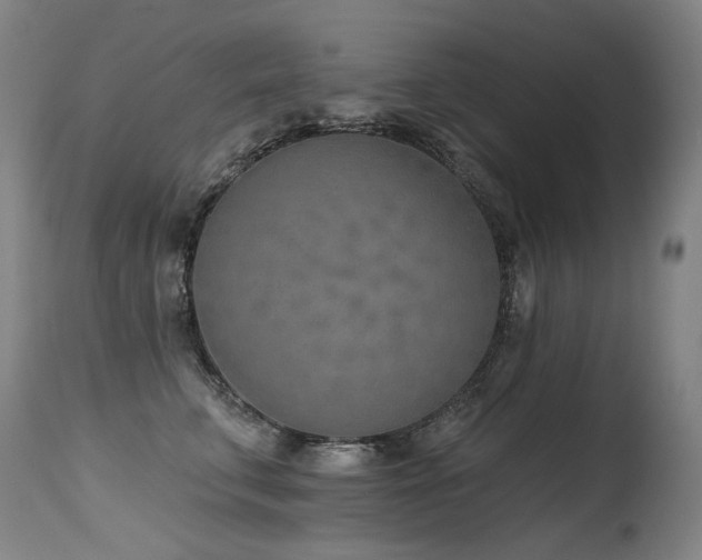 X0000115650711200911101540