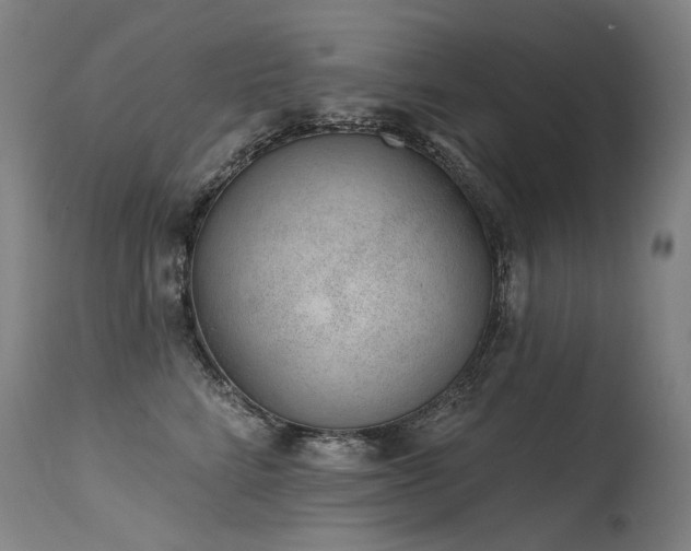 X0000115650712200911101540