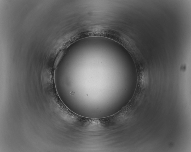 X0000115650715200911101539