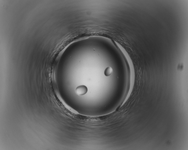 X0000115650716200911101539