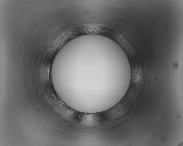 X0000115650717200911101539