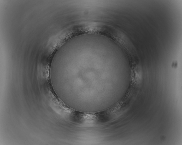 X0000115650718200911101539