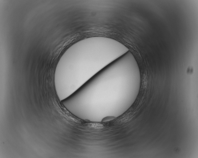 X0000115650719200911101539