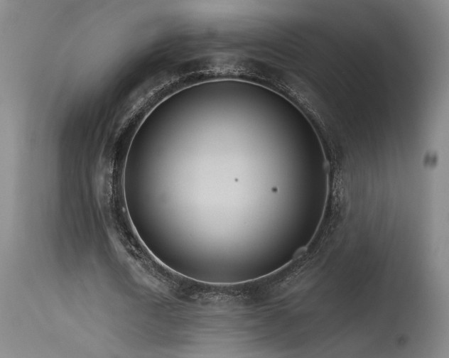 X0000115650722200911101539