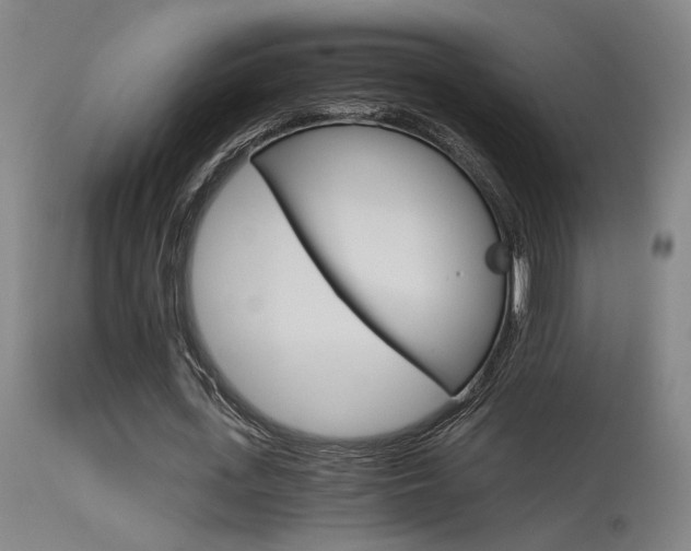 X0000115650723200911101539