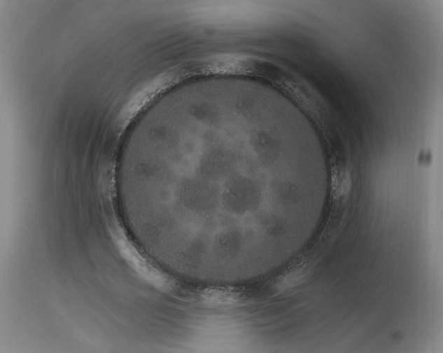 X0000115650725200911101539
