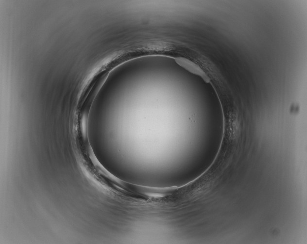 X0000115650726200911101539