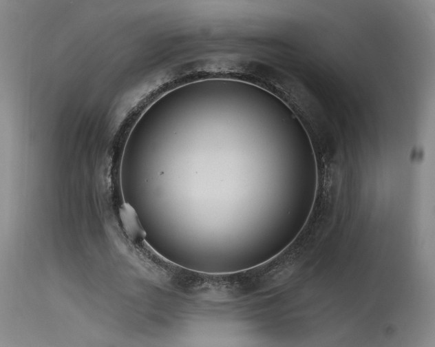 X0000115650727200911101539