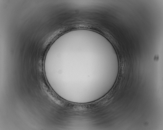 X0000115650729200911101539