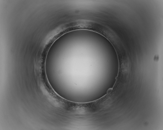 X0000115650730200911101539