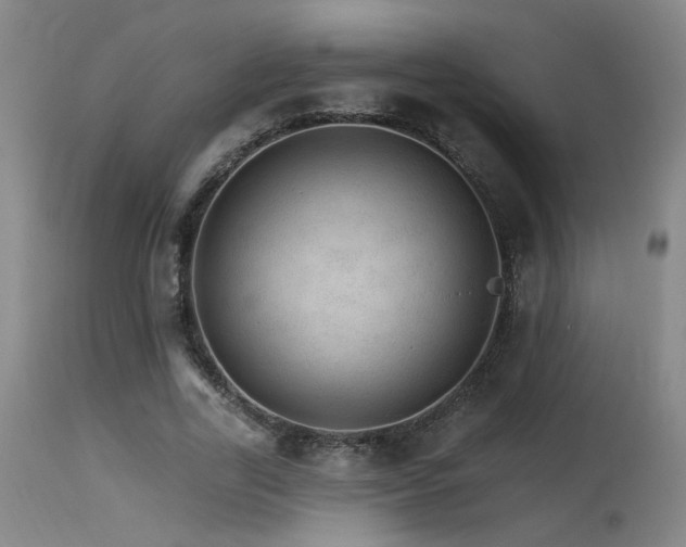 X0000115650731200911101539