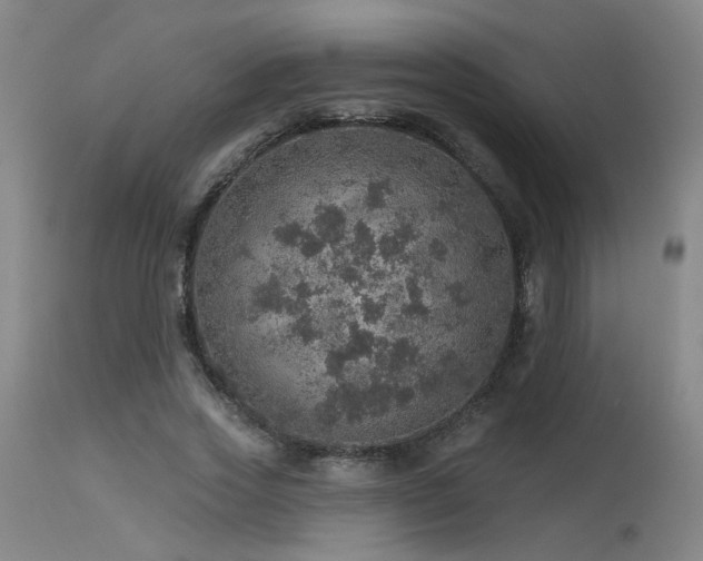 X0000115650733200911101539