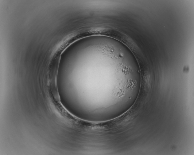X0000115650734200911101539