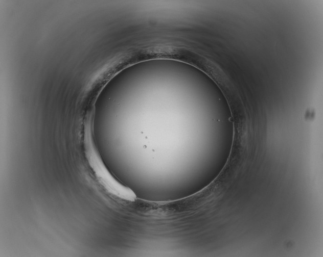 X0000115650735200911101539