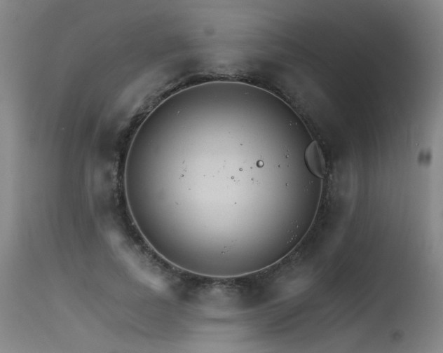 X0000115650739200911101539