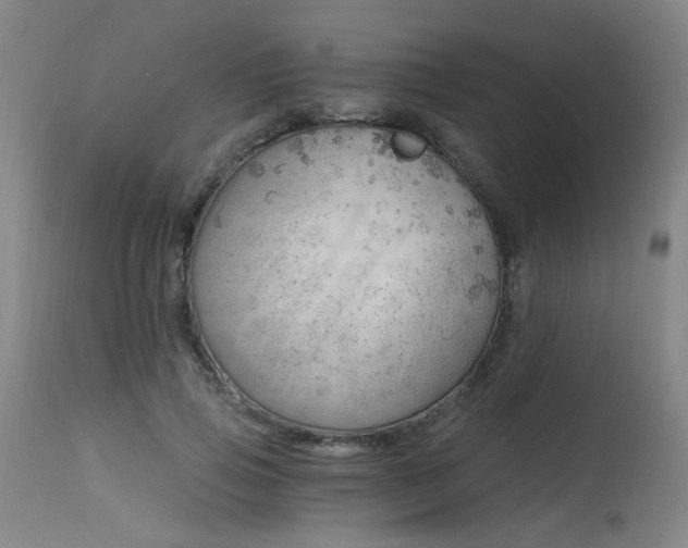 X0000115650741200911101539