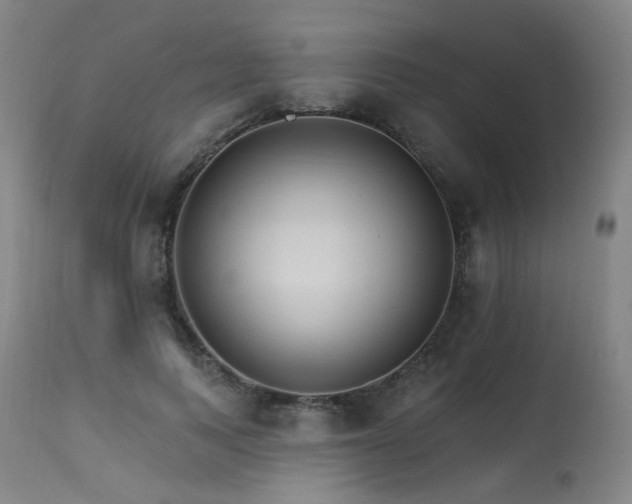 X0000115650743200911101539